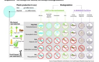 Bio-based Fuels: Transforming Petrochemical Landscape