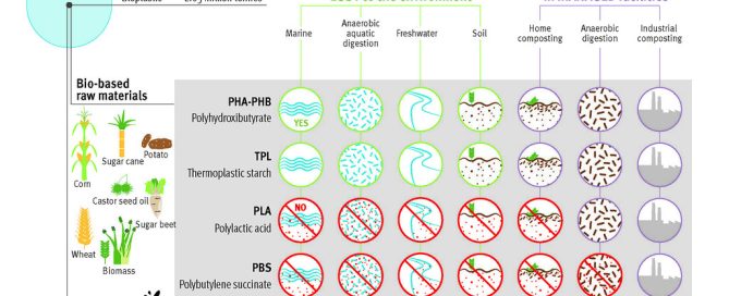 Bio-based Fuels: Transforming Petrochemical Landscape