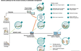 Circular Economy Strategies: Petrochemical Applications