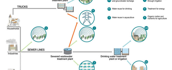 Circular Economy Models: Petrochemical Innovations