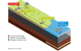 Carbon Capture and Utilization: Petrochemical Advances