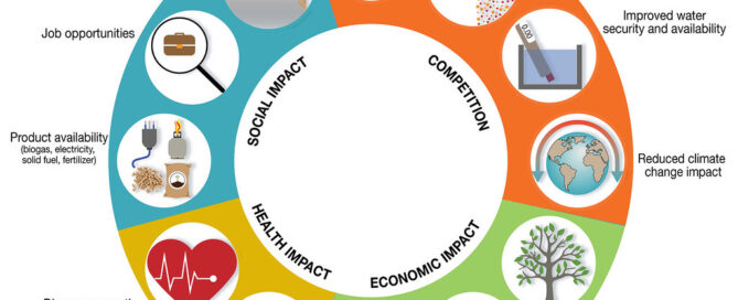 Circular Economy Strategies: Petrochemical Advancements