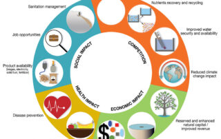 Advancements in Circular Economy: Petrochemical Applications