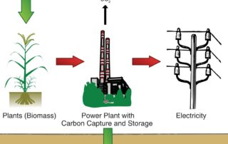 Carbon Capture: Petrochemical Applications