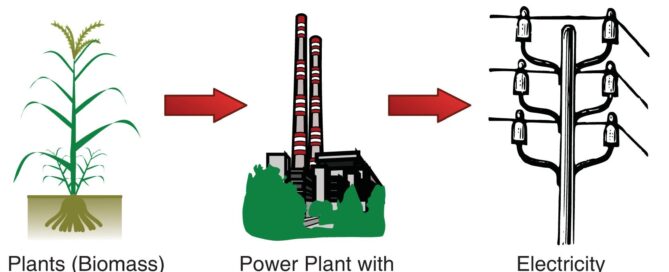 Carbon Capture: Petrochemical Applications